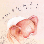 Das Buch der Redewendungen